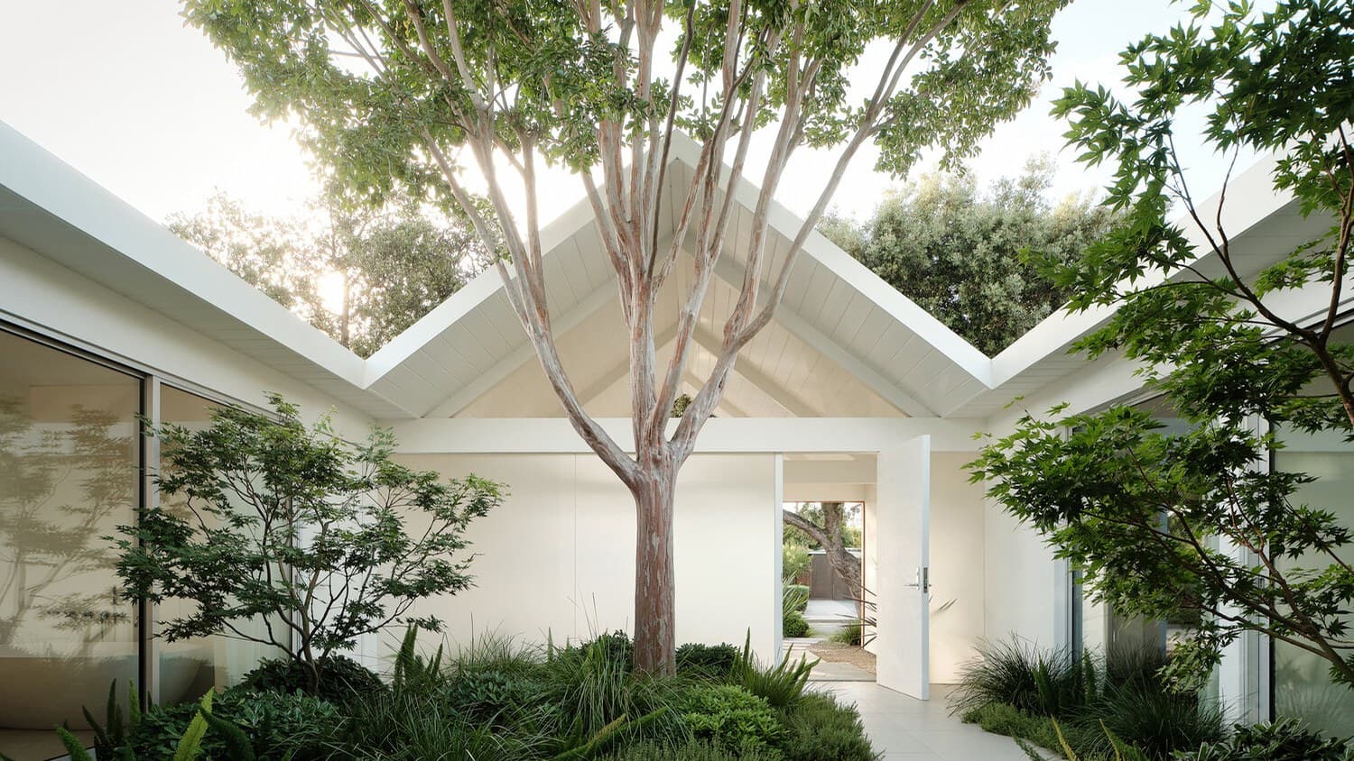 A white courtyard under a glazed pitched roof, with one tall pale tree growing through it